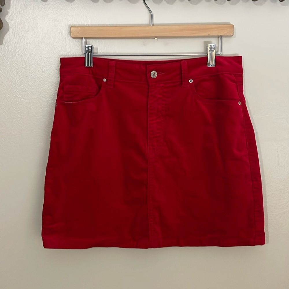 NWOT Forever 21 Red Velvet Feel Skirt. SZ Large